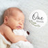 Baby Milestone Signs, Greenery Monthly Milestones, Botanical Infant Photo Prop