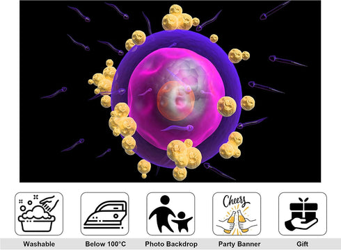 KeyWork 5x4ft Human Egg Cell Fertilization Backdrop Reproductive Science Photography Background for Health Fair