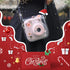 Case for Fujifilm Mini 12/11/9/8 Instant Camera, Protective Bag with Transparent Shoulder Strap (Real Flower - Pink)