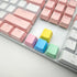 OEM Profile Blank Keycaps, PBT Rainbow Mixed Colors 1U R4 Keycap for MX Switches Mechanical Keyboard (Mixed Colors,