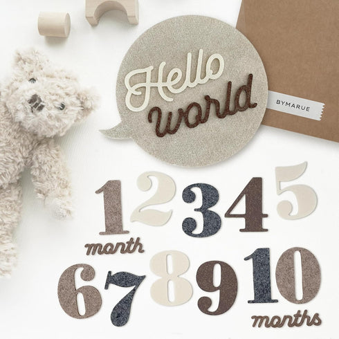 Felt Speech Bubble Baby Monthly Milestone Signs, First Year Baby Photo Prop