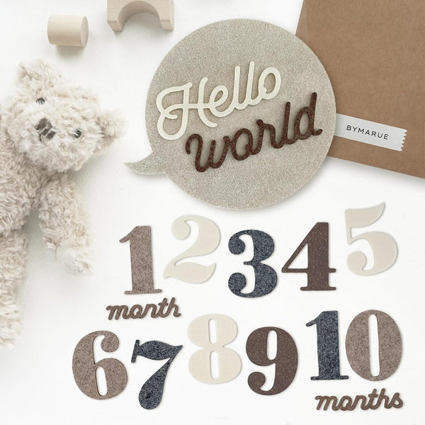 Felt Speech Bubble Baby Monthly Milestone Signs, First Year Baby Photo Prop