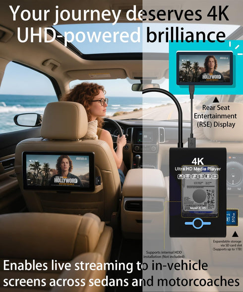 JLZNLC 4K 2-in-1,Digital H.265/HEVC H.264/AVC MP4 Videos,MP3 Card,4k Ultra HD Media Player & HDD Enclosure Signage