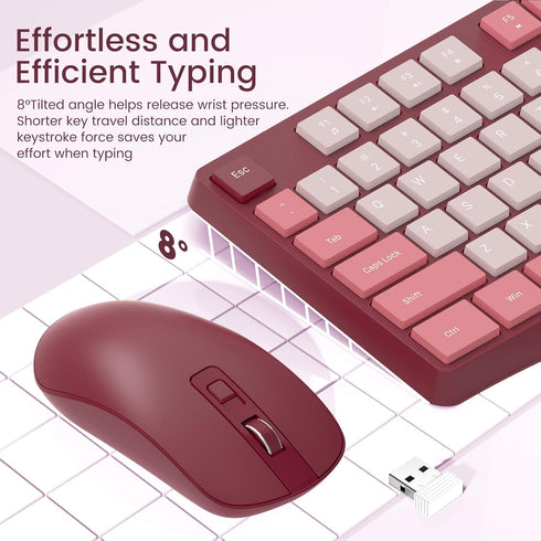 Wireless Keyboard and Mouse Combo, Lovaky 2.4G Full-Sized Ergonomic Keyboard Mouse, Quiet Click for Computer/Laptop