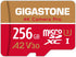 Gigastone 256GB Micro SD Card, 4K Camera Pro, A2 V30 for Smartphone, Gopro, Action Cams, Up to 100MB/s, with Adapter