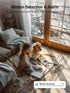 5G & 2.4G Indoor/Outdoor Security Camera for Home, Baby, Elder, Dog, Pet with Phone App and Color Night Vision