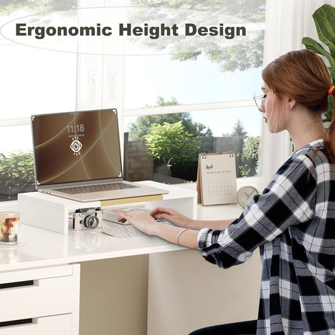20 Inch Cozy TEAMIX Monitor Stand Riser, Wooden Desktop Riser for TV/PC/Laptop/Printer, Monitor Riser with Storage