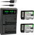 Kastar 2-Pack Battery and USB Charger for Panasonic Lumix DMC-GH3KBODY, GH4, GH4A, GH4H, GH4KBODY, DC-GH5, DC-GH5S