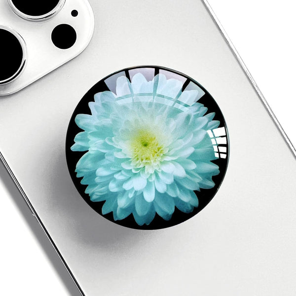 Translucent Clear Phone Grip with Expanding Kickstand, Cell Phone Collapsible Stand, Blue Daisy Flower Design for