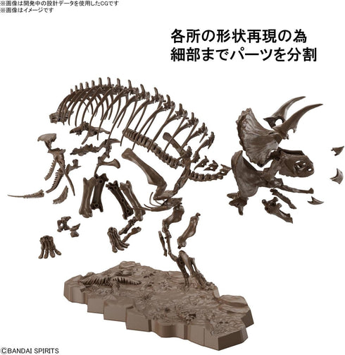 1/32 Bandai Hobby - Dinosaur - Triceratops, Bandai Spirits Imaginary Skeleton Model Kit