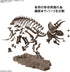 1/32 Bandai Hobby - Dinosaur - Triceratops, Bandai Spirits Imaginary Skeleton Model Kit