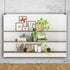 CSFOTO 10x7ft Modern Living Room Backdrop Green Plant Bookcase Office Zoom Backdrop for Video Conference Zoom Screen