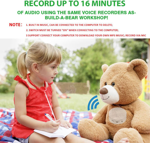 XLW Recorder,16Min Pillow.16MB (2P Voice Voice Recording Button for Stuffed Animals, Bear,Crafts Record Custom Messages