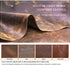 Compatible with So-ny WF-1000xm3 Case, Personalized Leather Case with Carabiner, Shockproof Cover (Brown)
