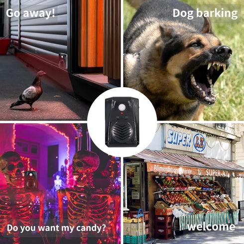 Replaceable Voice Motion Sensor PIR Infrared Sound Player, Haunted House Scream Box Speaker with USB Download Function