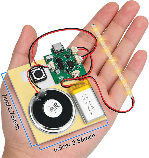 Ransanx 2PCS Cable,Capability16 Customize Recording Module with LED Strip DIY Music Voice Recording Module Chip