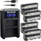 Kastar 4-Pack NP-F570 Battery and LED2 USB Charger for LituFoto P60 P60s R60 F40 P40 LED Light, DigitalFoto Solutions