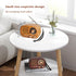 Portable Vintage Radio Bluetooth Speaker, FM/AM/SW Classic Style, Rechargeable Battery Powered & USB Charging
