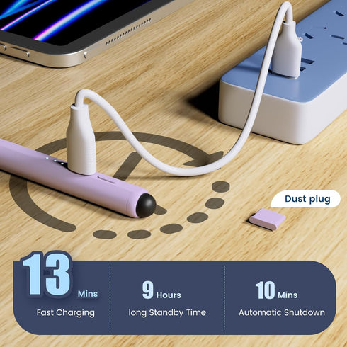 Stylus Pen for iPad, Dual-Tip 13 Mins Fast Charge Apple Pencil, Palm Rejection, Tilt Sensitivity, Compatible with iPad