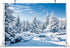 BELECO 5x3ft Fabric Winter Snow Forest Backdrop, Majestic White Xmas Tree Scene for Christmas New Year Event