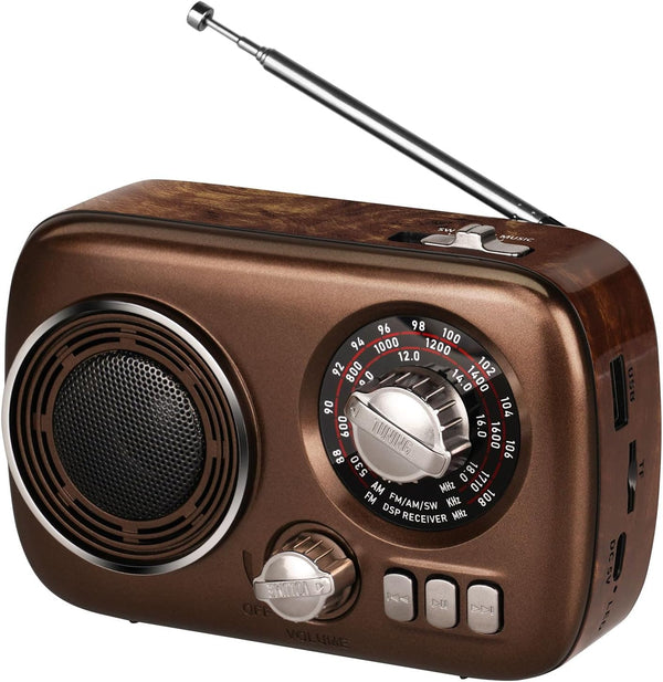 Gelielim Portable AM FM Radio, Bluetooth Speaker Retro Radio, Rechargeable Battery Operated, Suitable for Indoor &