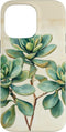 Antique Plant Botanical Art Garden DonaOnca Succulent Jade Plant Vintage Scientific Illustration Plant Case for iPhone 14 Pro