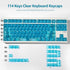 mintcaps Crystal Clear Keyboard Keycaps, Transparent PC Cherry Profile Blue Keycap Set for MX Switches