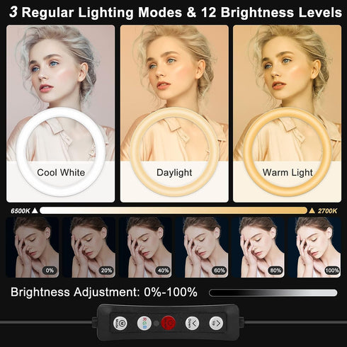 Vlogging 10.3" 29 Dimmable Selfie Ring Light with Stand and Phone Holder, Desk Tripod, RGB Lighting Modes, Remote
