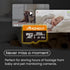 MMOMENT 256GB Micro SDXC Card, A1, UHS-I, U3, Class 10 with SD Adapter Included, Read Speed Up to 95 MB/s