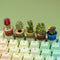Wonhibo 5 PCS Cactus Keycaps for Cherry MX Keyboards - Cute Multicolor OEM