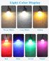 Bulb 3V, 1 Pack AA Battery Holder with Small LED and Switch Battery Box with Terminals, Miniature LED Lights Wiring Kit