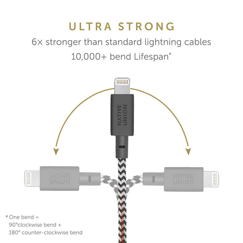 Native Union Belt Cable USB-C to Lightning 10ft, Ultra-Strong Reinforced Cable for iPhone 14, 13 and Earlier (Zebra)