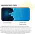 Liquid Glass Screen Protector - Scratch and Shatter Resistant Nano Protection for All Phones, Tablets, Smart Watches