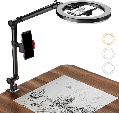 Ring Light with Stand and Phone Holder - USB 10'' Ring Light for Desk, Overhead Camera Mount for