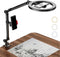 Ring Light with Stand and Phone Holder - USB 10'' Ring Light for Desk, Overhead Camera Mount for
