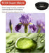 RayHenry 2 1, 0.45X 12.5X Phone Camera Lens Kit in Wide Angle Lens+ Macro Lens, Cell Phone Len Attachments Accessory