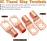 AWG 8 Gauge Wire Cable - 50ft Each (Black/Red) Copper Clad Aluminum CCA with 8ga terminals, 60A ANL Fuse Block for
