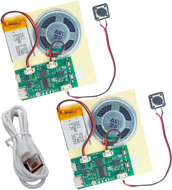MUXWELL 2pcs DIY Audio Recorder and Player kit,Record standalone or Download Music via