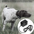 5V Charger for SportDOG Dog Remote Trainer - Compatible with SD-425, SD-425S, SD-425CAMO, SD-825, SD-825X