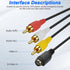 2.0 -1.2M/3.9FT (S-Video+3 XMSJSIY USB Audio Video Capture Card S Video RCA to USB Digital Grabber Recorder CVBS VHS