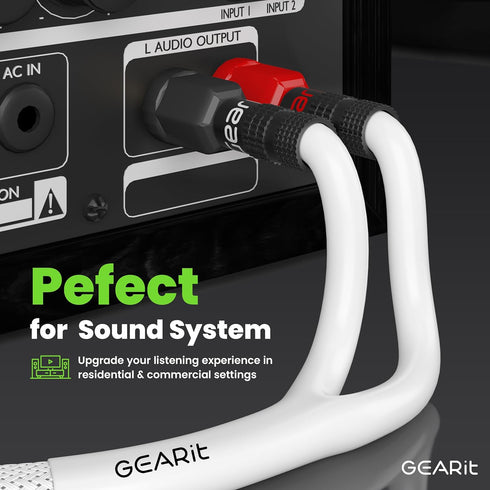 GearIT 12AWG Premium Heavy Duty Braided Speaker Wire Cable (10 Feet) with Dual Gold Plated Banana Plug Tips