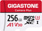 Gigastone 256GB Camera Plus Series Memory Card, Read Speed up to 100MB/s, Ideal for Full HD Video