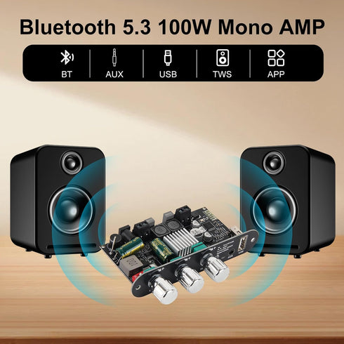 AITRIP 2Pcs ZK-1001U 100W 9-24V Mono Amplifier Board with TWS,Mini Audio Amps with Boost with Power Output, Treble