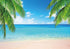 7x5ft Summer Beach Photography Backdrop, Sea Ocean Palm Leaf Background for Wedding & Party Supplies