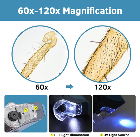 Pocket Microscope, 60x-120x Handheld Mini Microscope for Kids, 5 Slides Specimens, BEBANG Portable Educational Kit