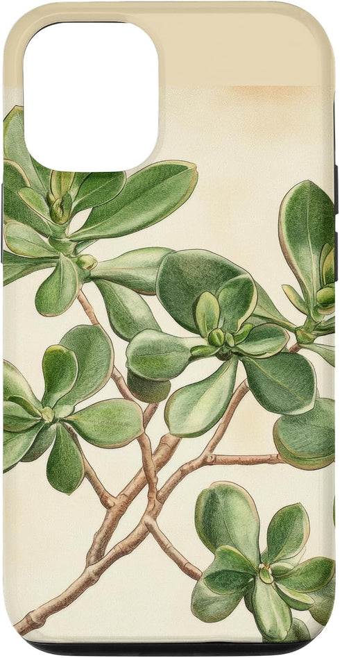 Antique Plant Botanical Art Garden DonaOnca Succulent Jade Plant Vintage Scientific Illustration Plant Case for iPhone 12/12 Pro