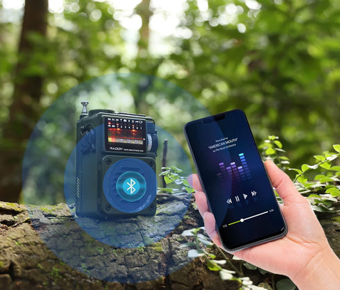 Raddy RF750 Portable Shortwave Radio AM/FM/SW/WB Receiver with NOAA Alerts, Rechargeable Mini Radio