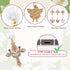 6 Butterfly Dust Plug Charm - Pcs Butterfly Flower Cross Dust Plug Charm Type C With Kindle and Phone Usb C Charging