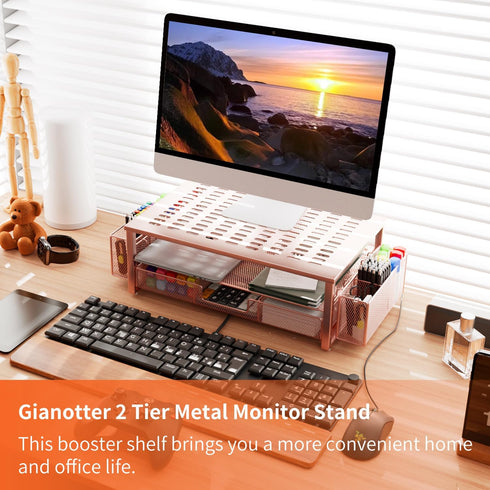 gianotter Desk Computer Monitor Stand Riser - Rose Gold Organizer with Drawer and 2 Pen Holders for Office Supplies