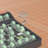 Kailh Box Bamboo Switch, 55gf Clicky Heavy 3pin Switches, IP56 Water-Proof, Compatible MX, 45pcs (Box Bamboo)